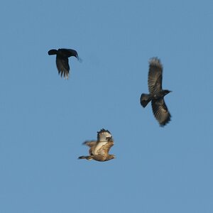 comp Ausflug 158Winter