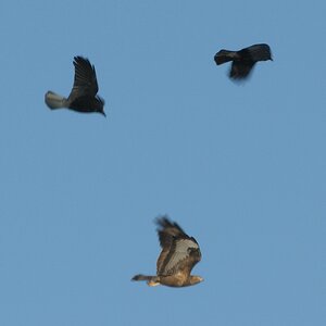 comp Ausflug 159Winter