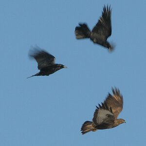 comp Ausflug 161Winter