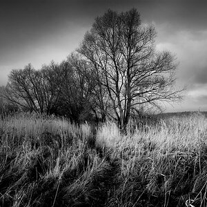 Am Ruppiner See 1000px