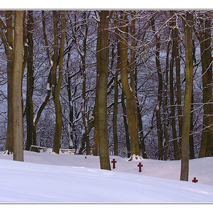 DSCF0030 a