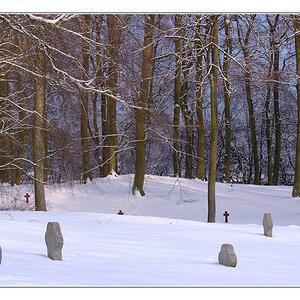 DSCF0036 a