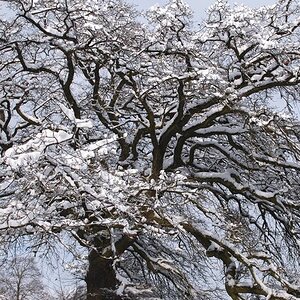 !baum februar