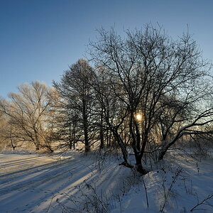 Bild 2 unbearbeitet
