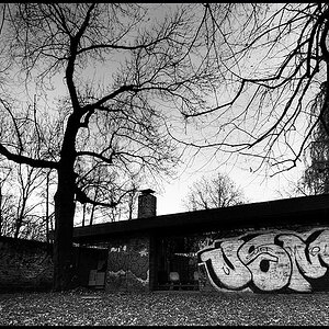 jena4