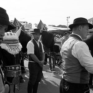 Oktoberfest 2012 1013314