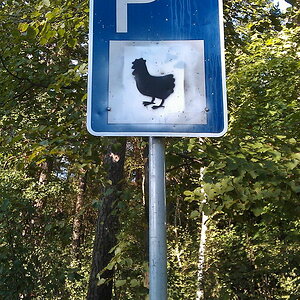 IMAG0299 Bildgröße ändern