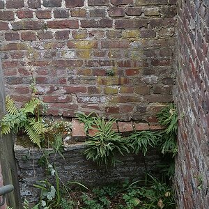 NFFDSC 0054