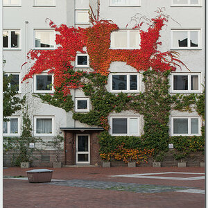 Autumn 2nd Floor