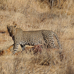 Samburu2 DSC 0753