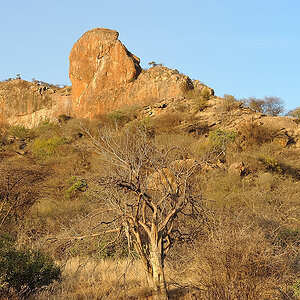 Samburu2 DSC 1696