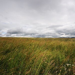 Uttenreuth