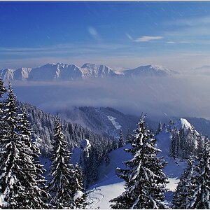 Winterwonderland