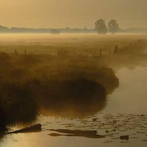 Wuemmewiesen im Morgenlicht DSC 0127