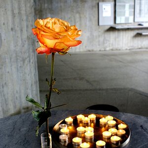 Vorbei - aber nicht vergessen! Impression aus dem Konzentrationslager Dachau