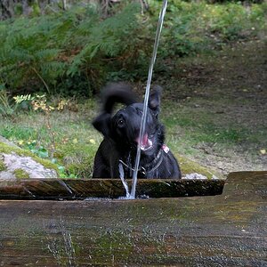 comp DSC 0867 bearbeitet