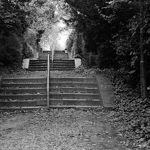 Parktreppe