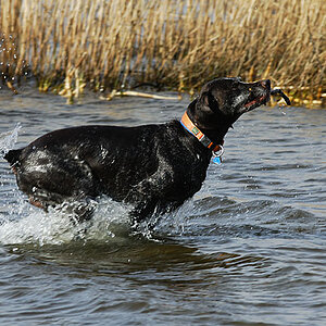 17 Februar 2007 Axel