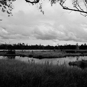 comp DSC 0965 bearbeitet S&W