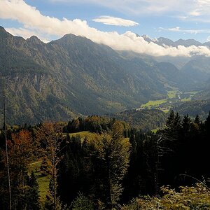 comp DSC 1083 bearbeitet
