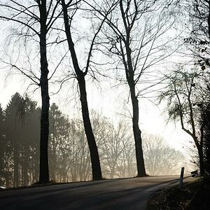 20101121 090834 (c)R.Wolf Lemgo (Small)