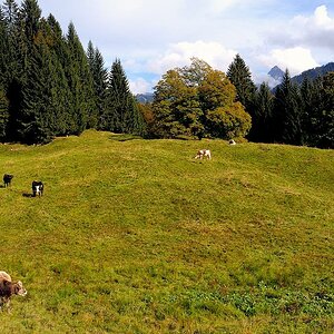 comp DSC 1086 bearbeitet

am Berggasthof Hochleite