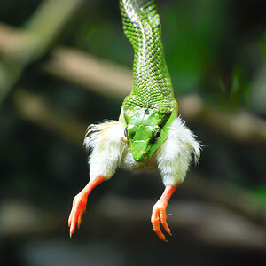 Zoo Zürich