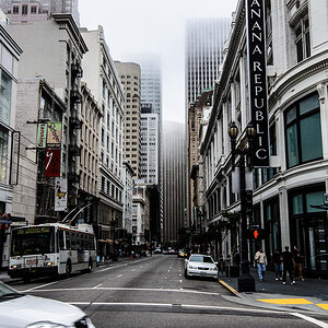 DSC3531