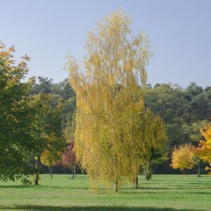 DSC0041