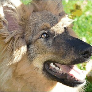 Image00001