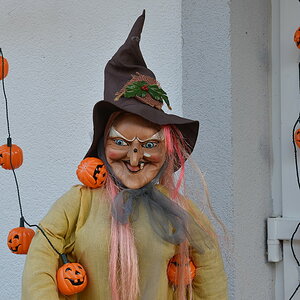 DSC 7901 Halloween