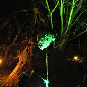 DSC 6571