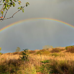 DSC 7842 Regenbogen 30 10 12