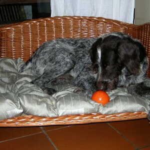 23 Oktober 2012 Oskar