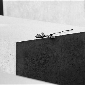 05  - Holocaust Mahnmal - Berlin 09-2012