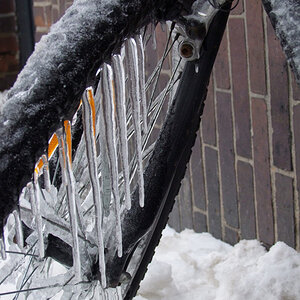 Fahrrad