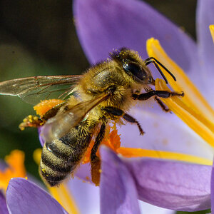 20120315 036
