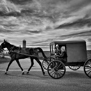 DSC 2502 1bwsilv filtered