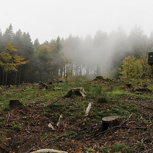 Nebelstimmung Herbst und Jägerstand