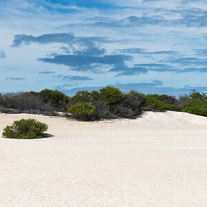 shell beach