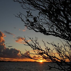 DSC 2563 01