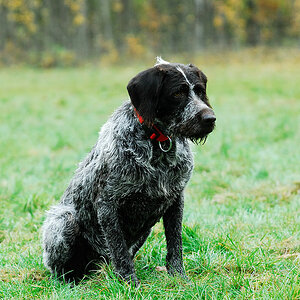 24 Oktober 2012 Oskar 001