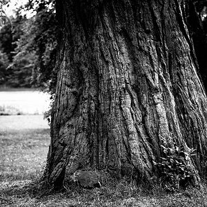 Putbus_01