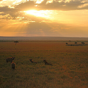 MasaiMara6 DSC 3085
