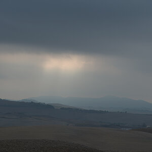 DSC2572kws