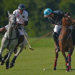 aacomp polo 20120901 1534
