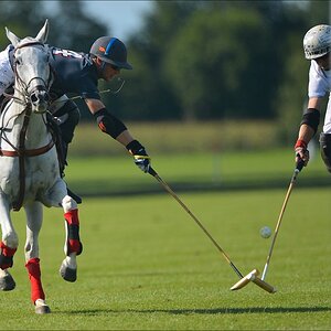 aacomp polo 20120901 1064