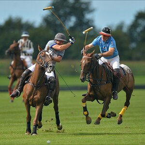 aacomp polo 20120901 0739b