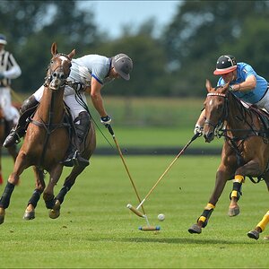 aacomp polo 20120901 0736