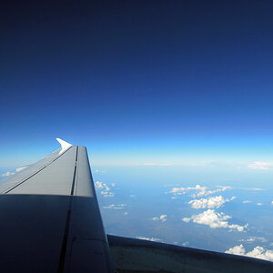 Wing